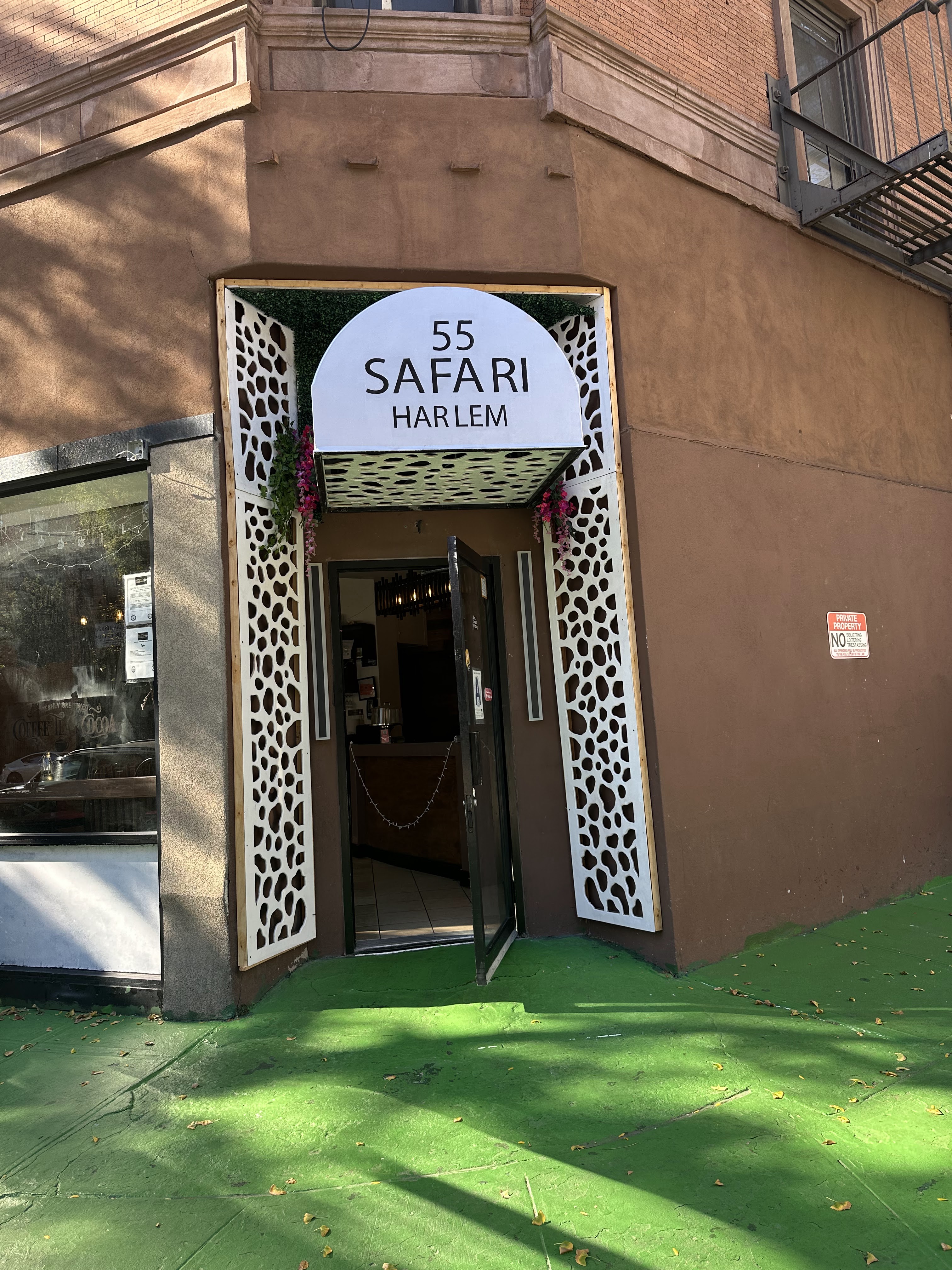 Safari avatar