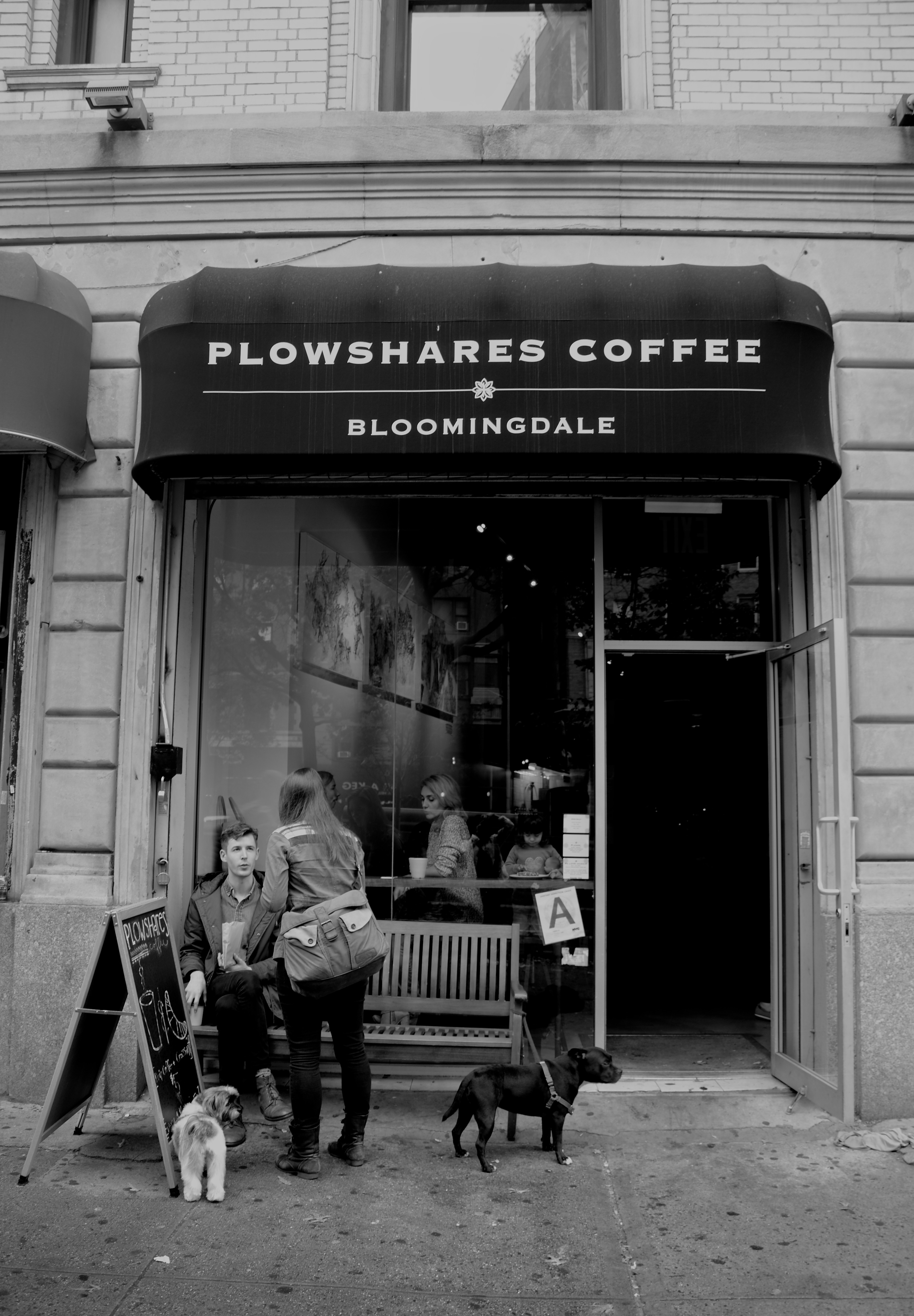 Plowshares Coffee Bloomingdale avatar