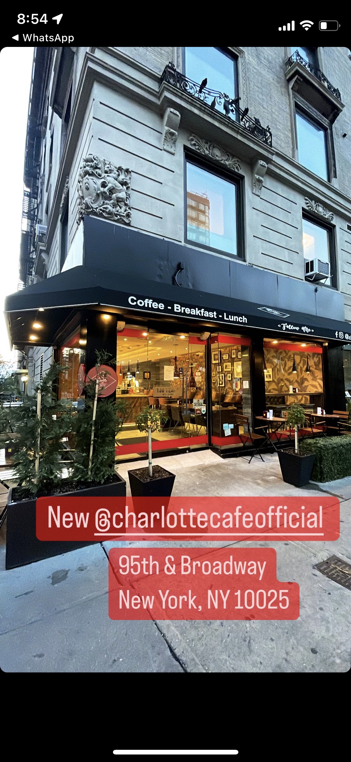 Charlotte Cafe avatar