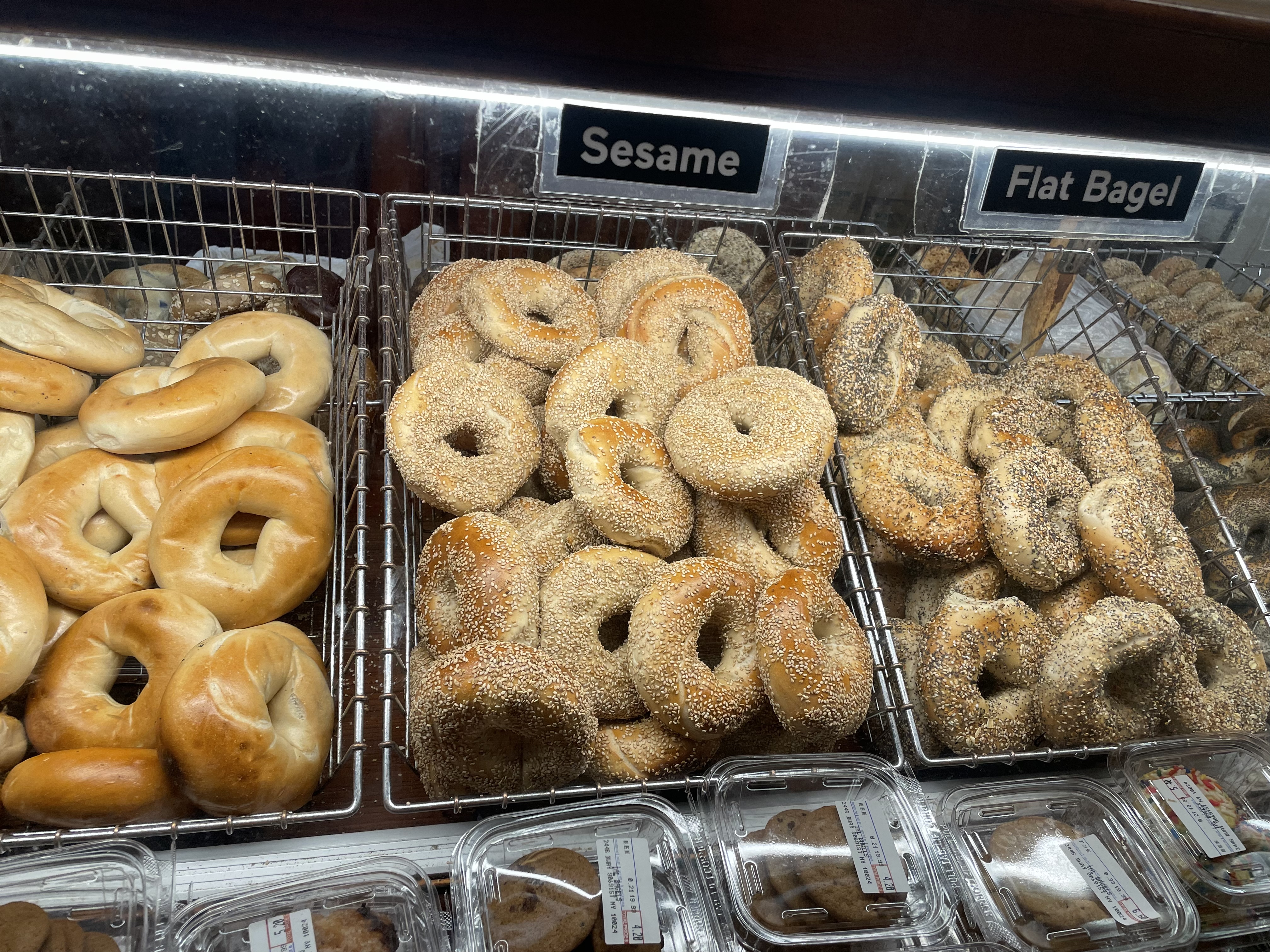Tal Bagels avatar