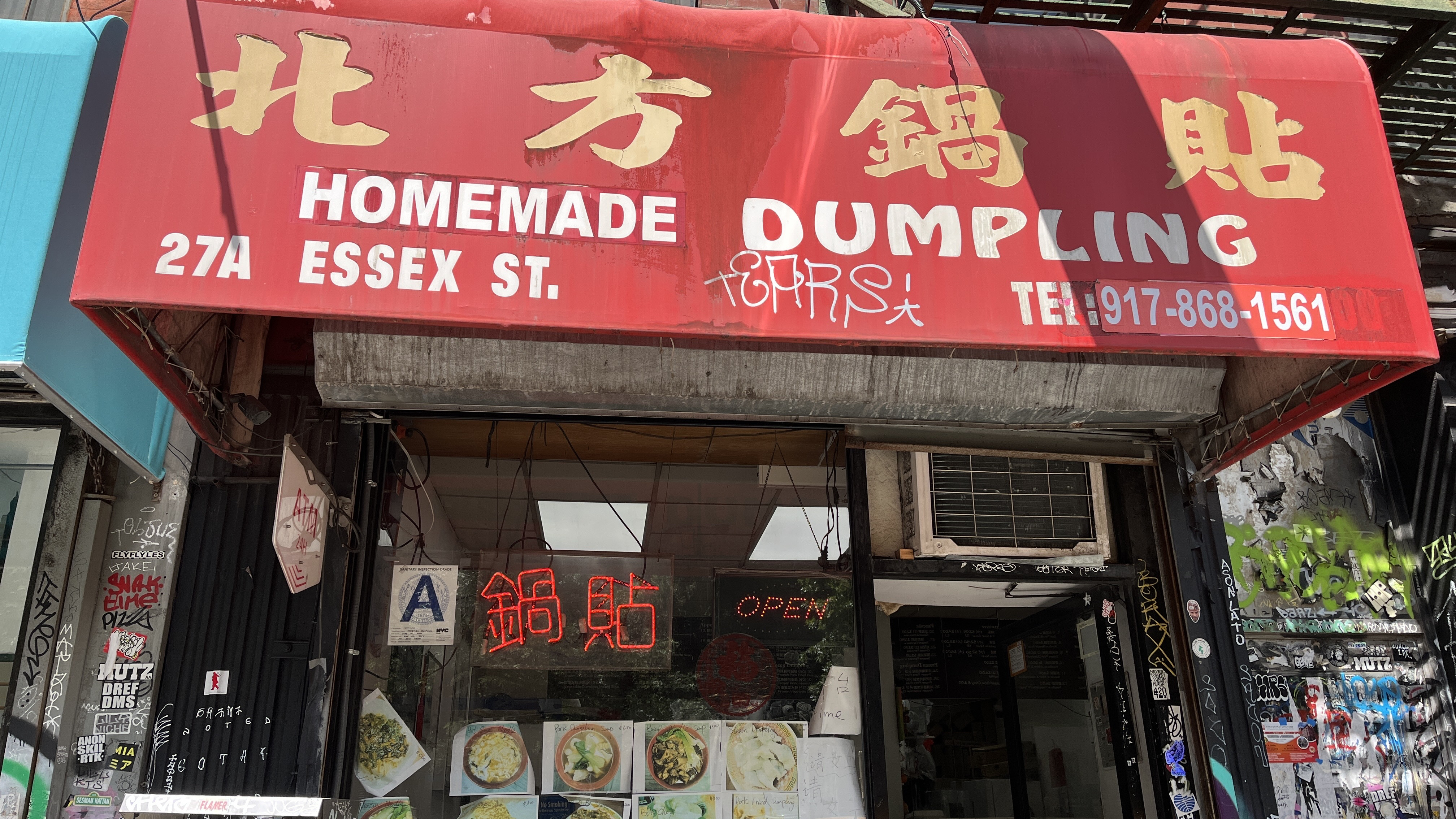 North Dumpling avatar