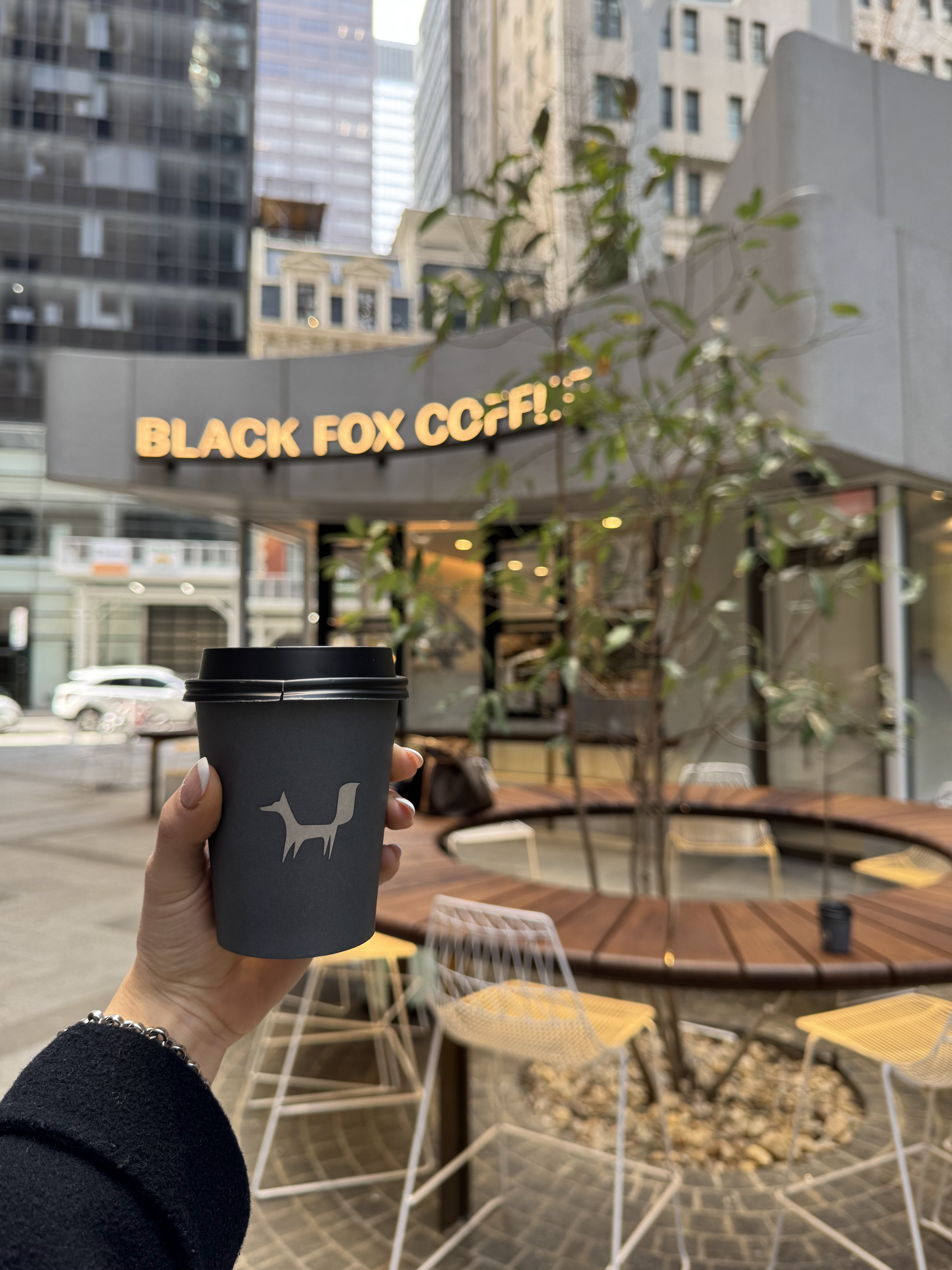 Black Fox Coffee avatar