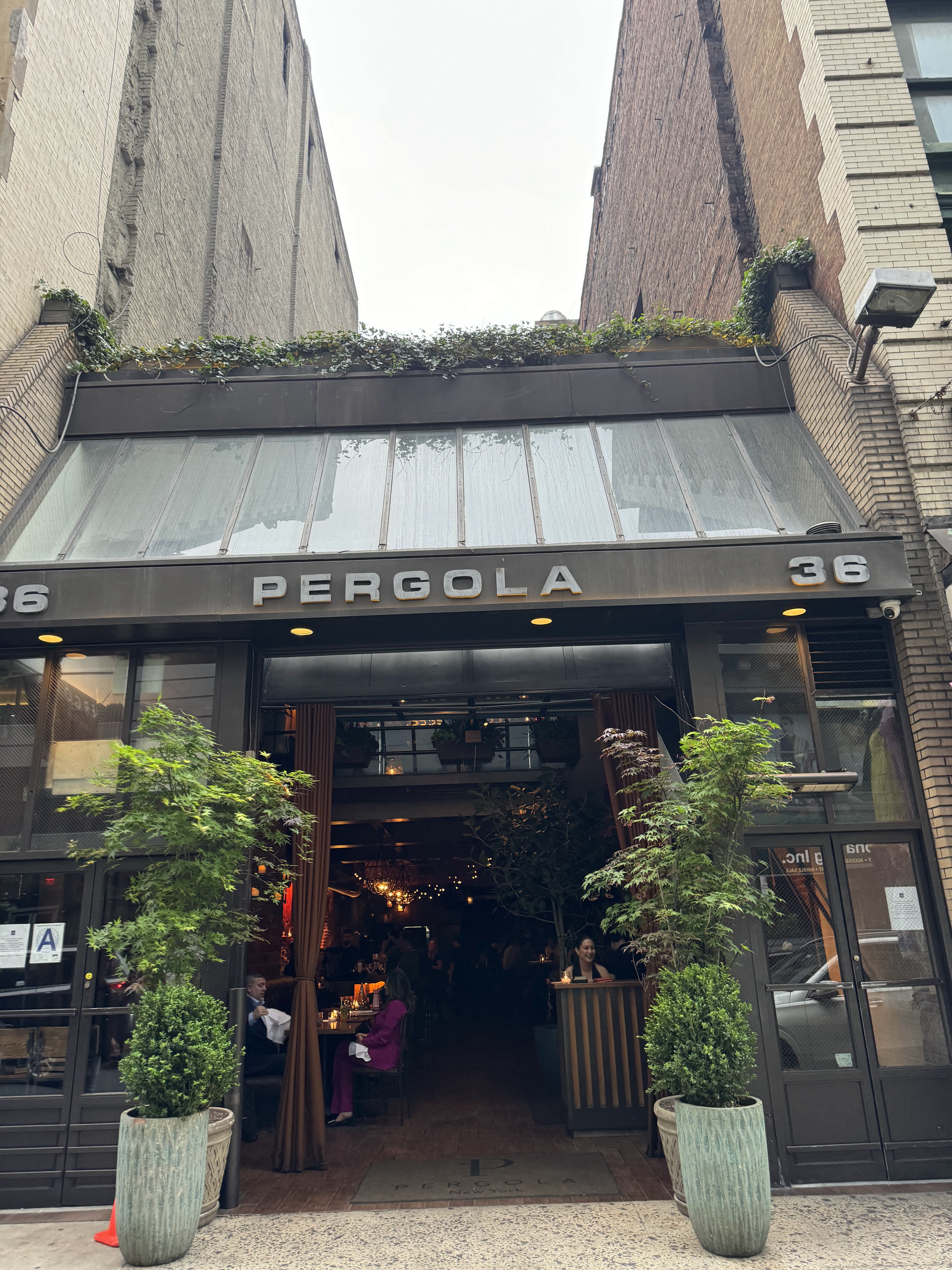 Pergola avatar