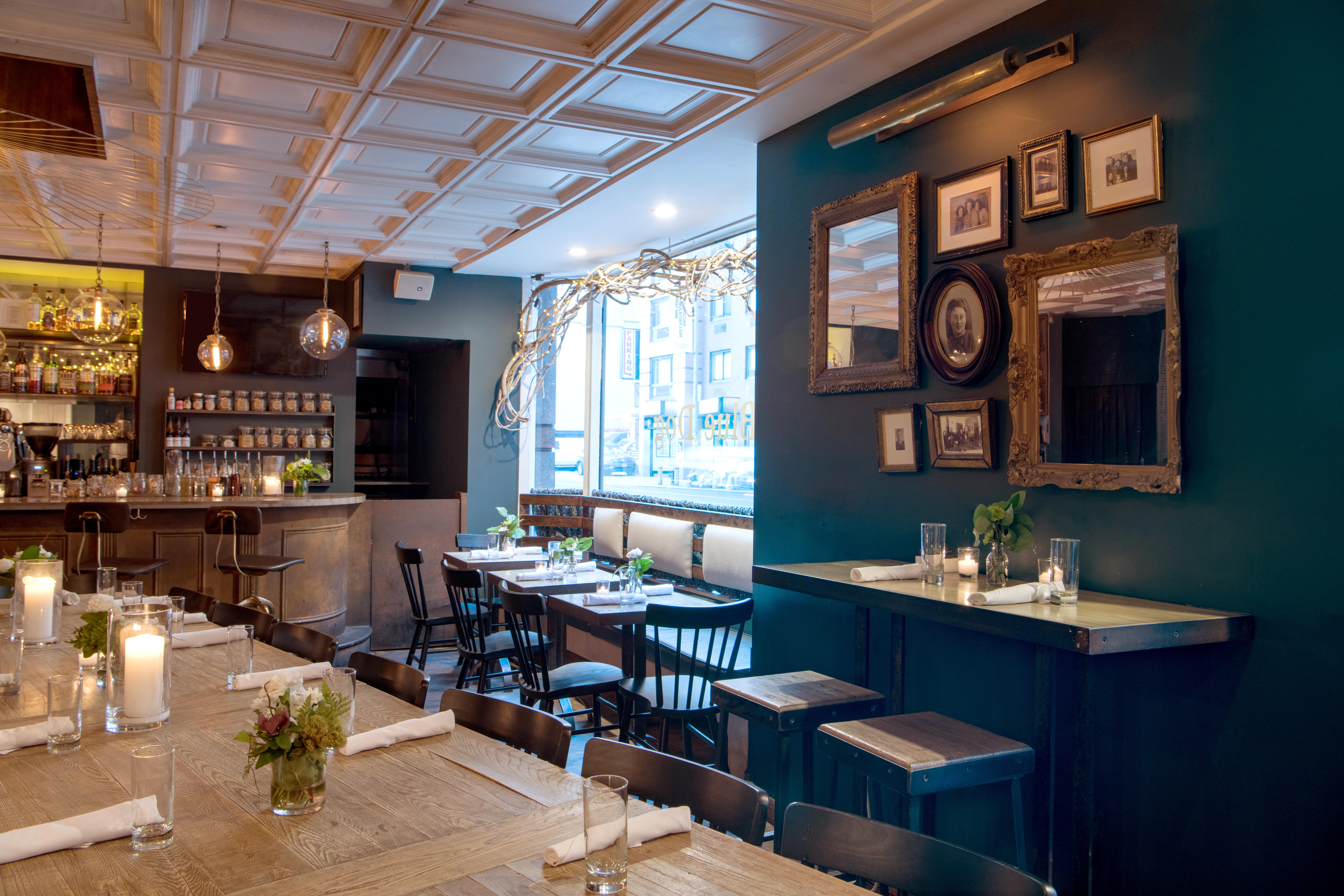 The Blue Dog Cookhouse & Bar avatar