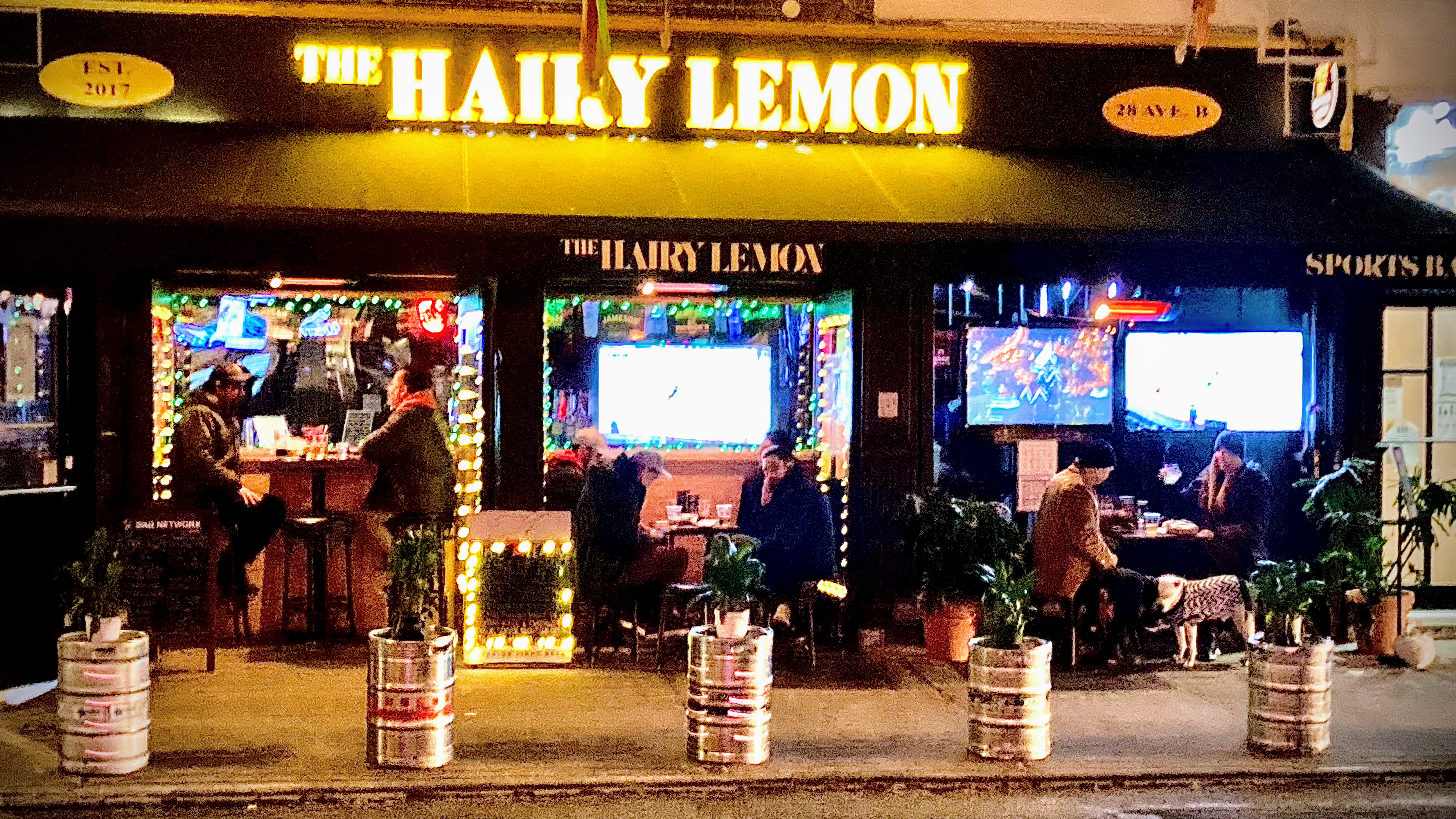 The Hairy Lemon avatar