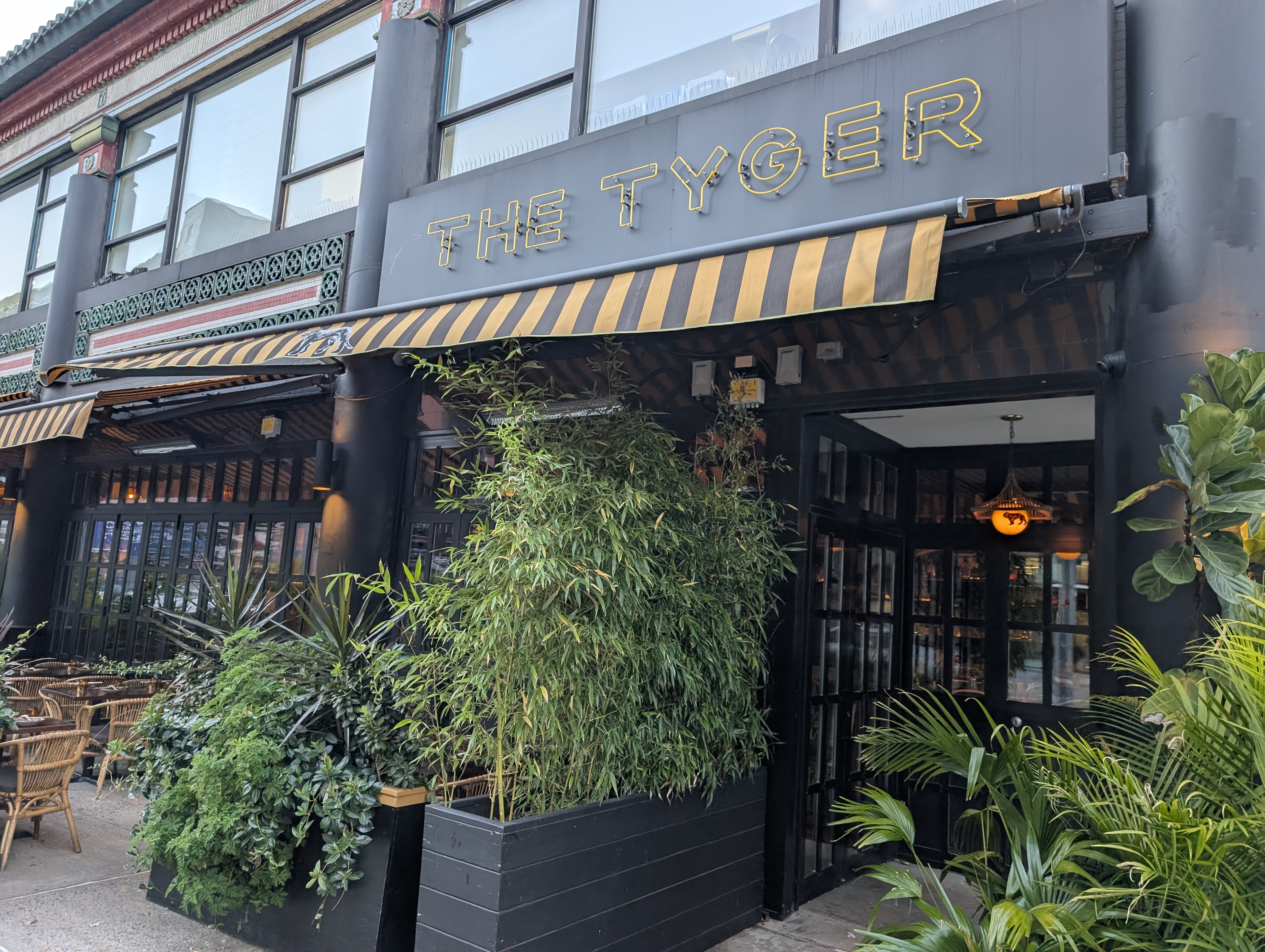 The Tyger avatar