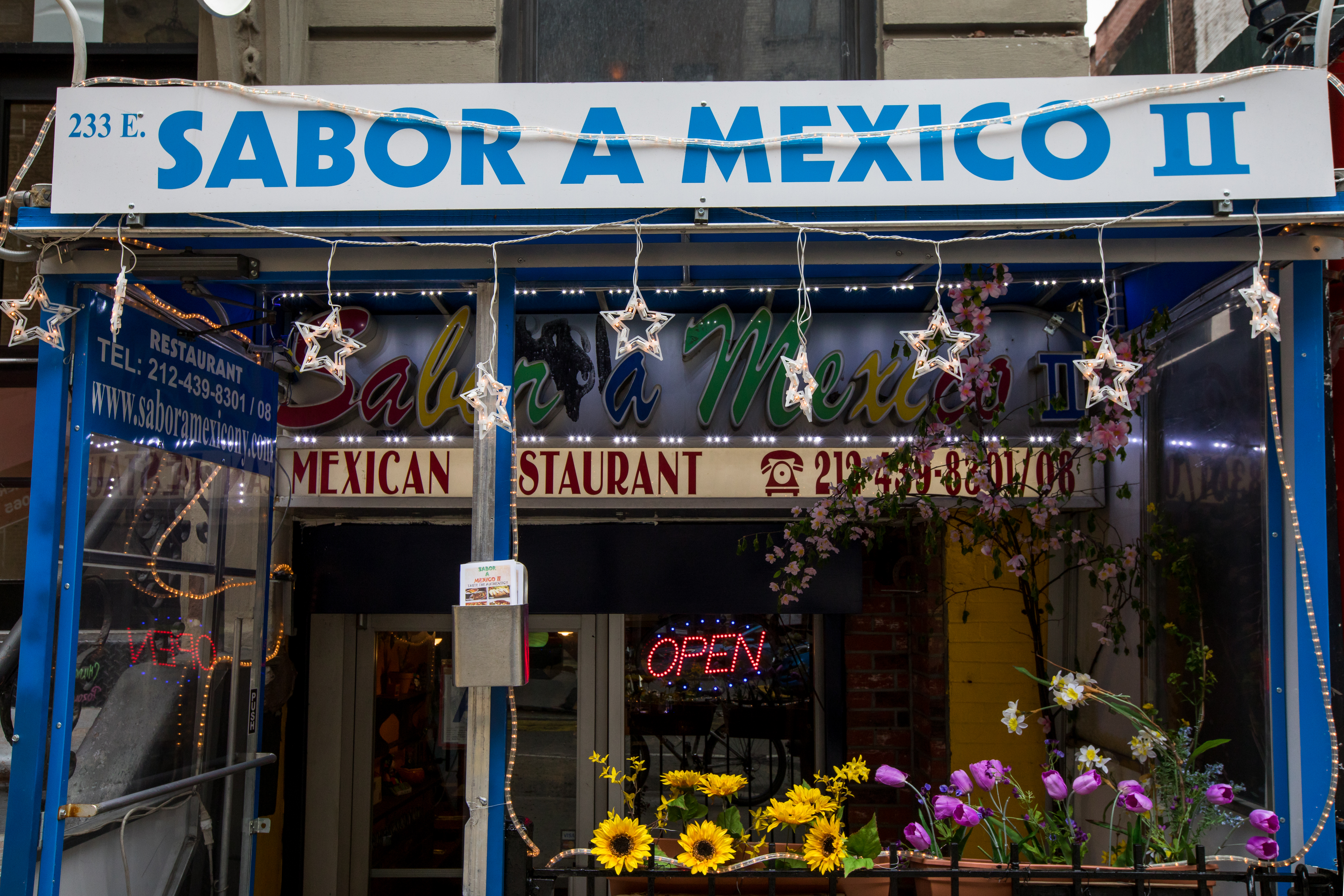 Sabor A Mexico II avatar