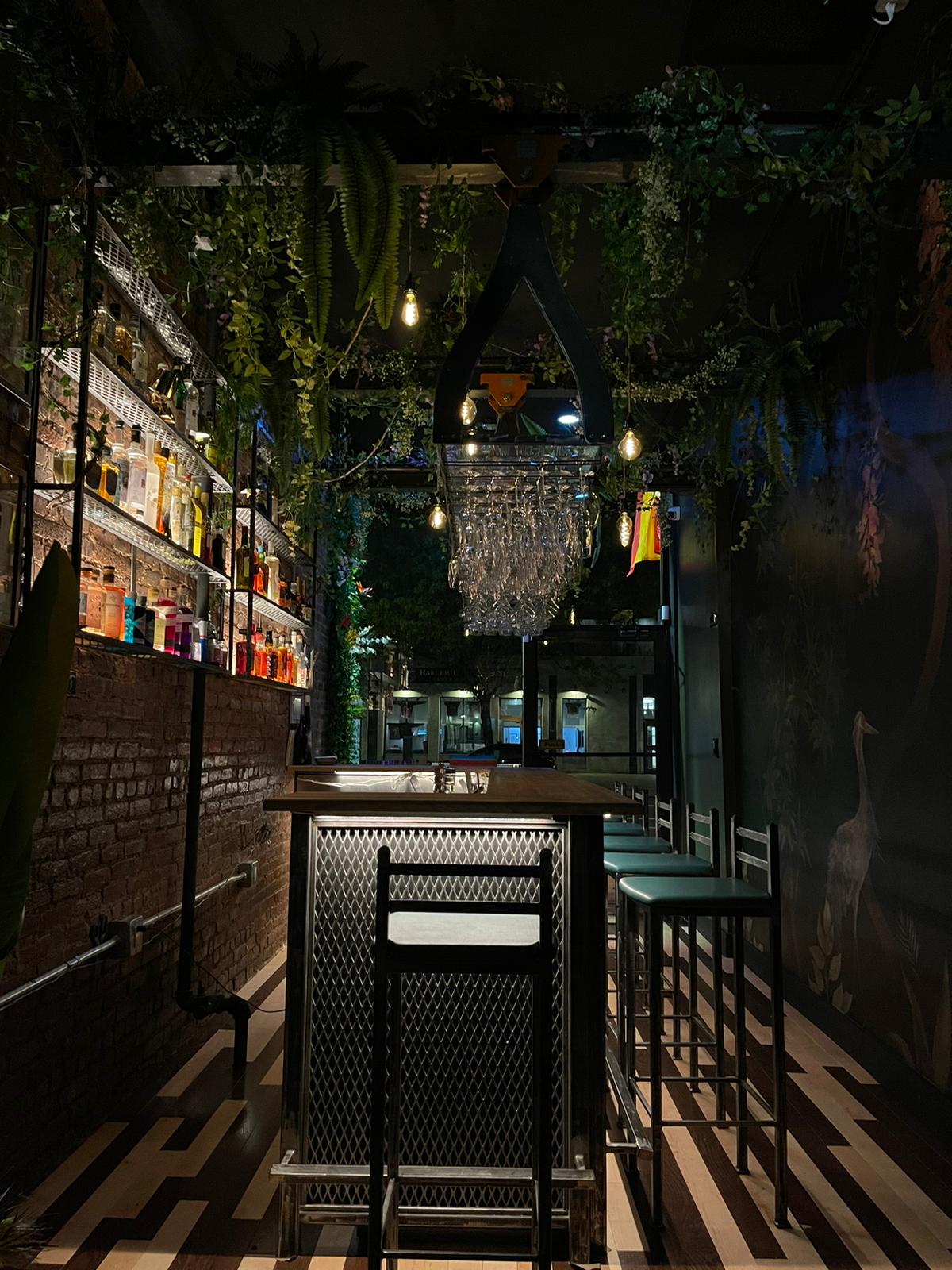 Gin Bar at Enoteca Harlem avatar