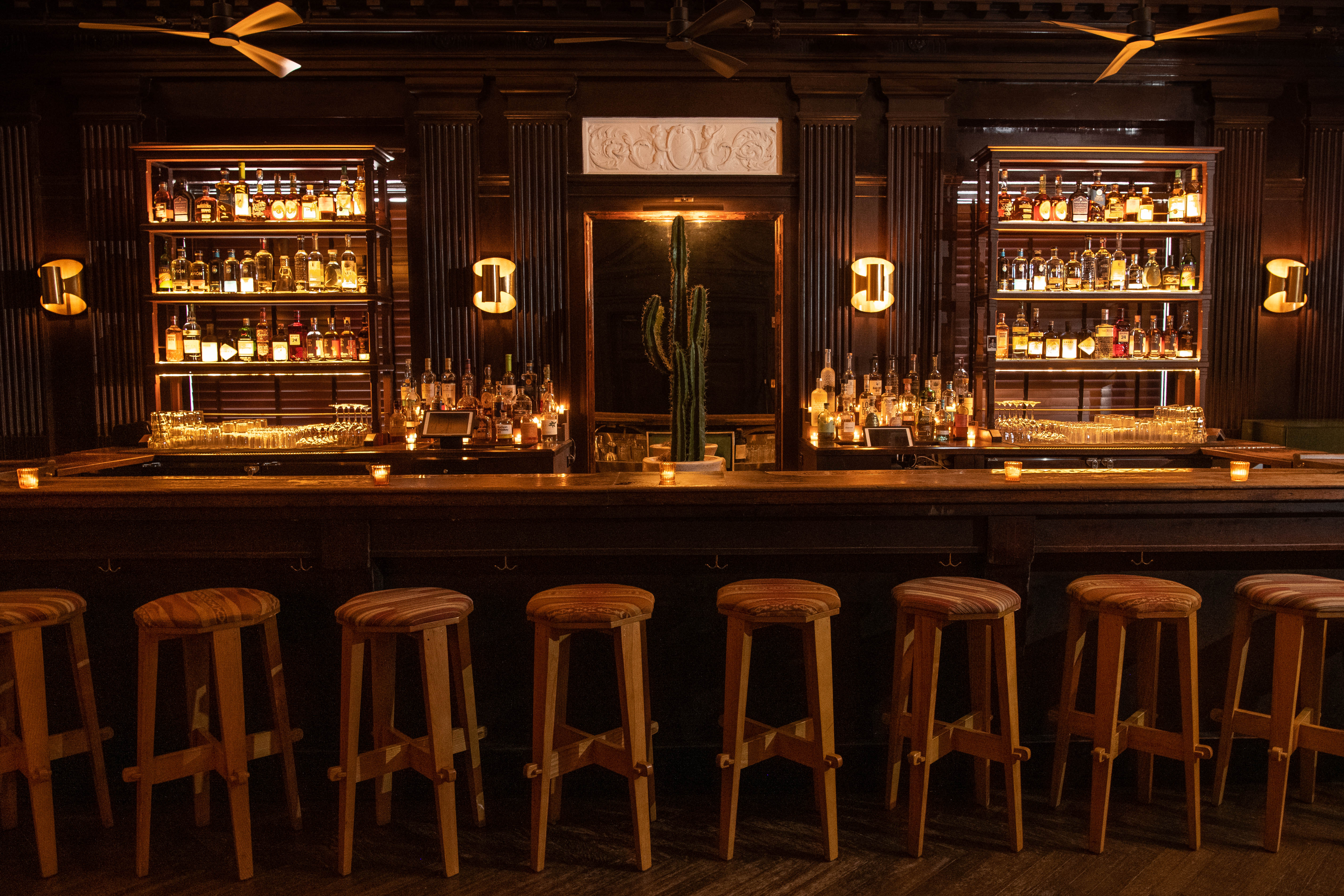 Bar Calico avatar